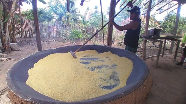 Trilha Amazônia Atlântica